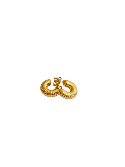 Carla Hoops